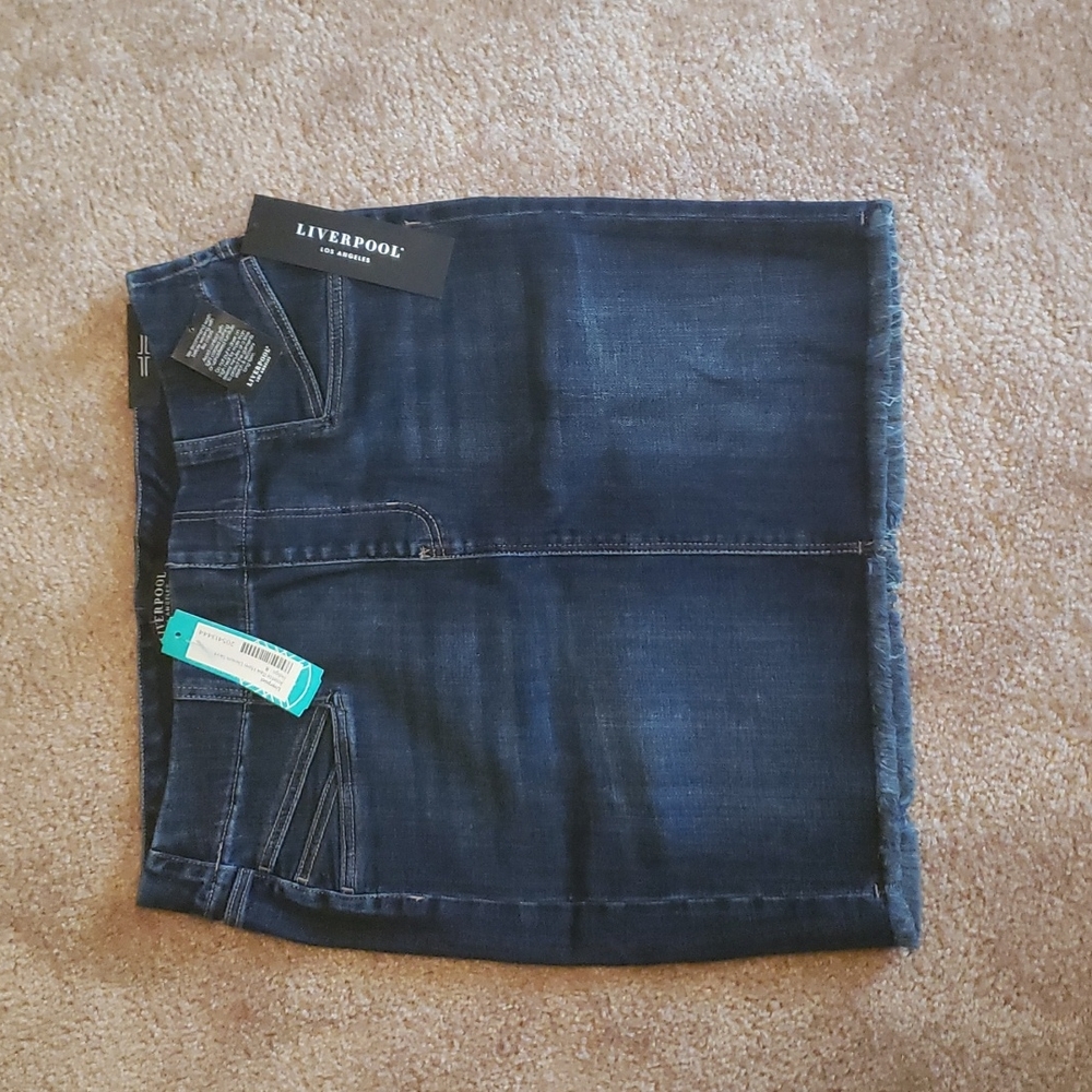 Jean skirt